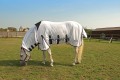 S/HILL RHINEGOLD FLY RUG COMBO 59"
